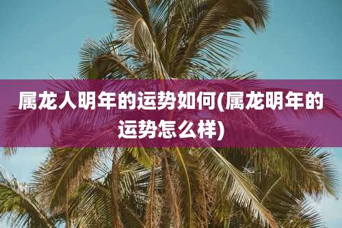 属龙人明年的运势如何(属龙明年的运势怎么样)