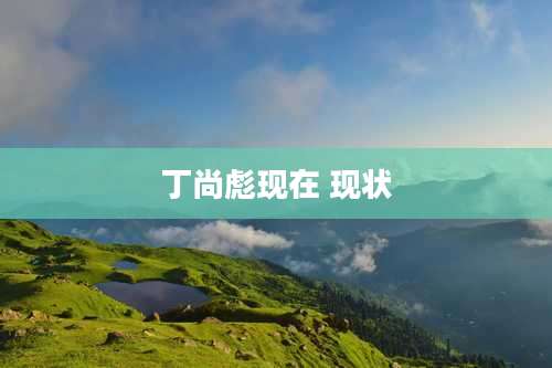 丁尚彪现在 现状