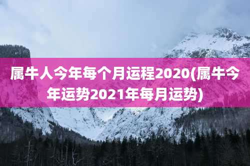 属牛人今年每个月运程2020(属牛今年运势2021年每月运势)