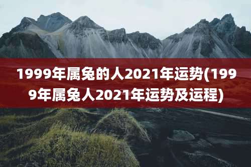 1999年属兔的人2021年运势(1999年属兔人2021年运势及运程)
