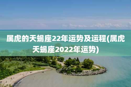 属虎的天蝎座22年运势及运程(属虎天蝎座2022年运势)