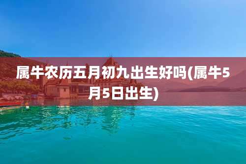 属牛农历五月初九出生好吗(属牛5月5日出生)