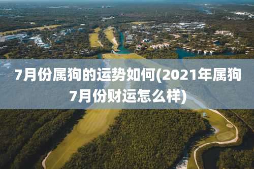 7月份属狗的运势如何(2021年属狗7月份财运怎么样)