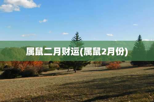 属鼠二月财运(属鼠2月份)