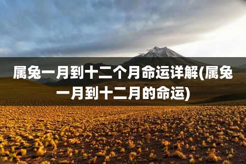 属兔一月到十二个月命运详解(属兔一月到十二月的命运)