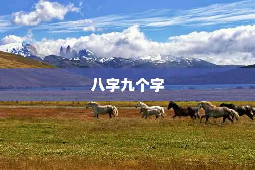 八字九个字