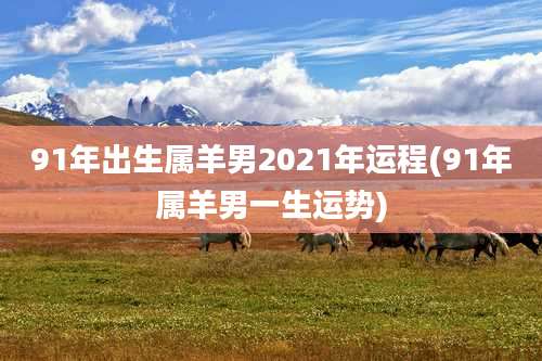 91年出生属羊男2021年运程(91年属羊男一生运势)
