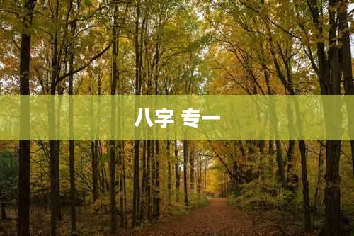 八字 专一