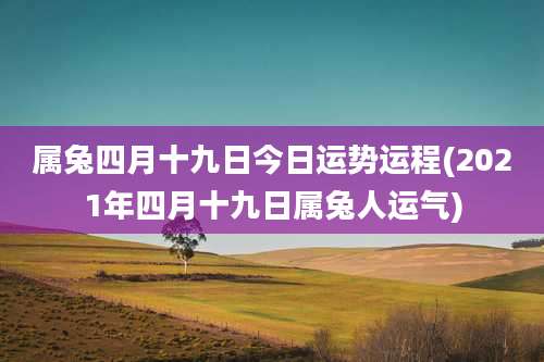 属兔四月十九日今日运势运程(2021年四月十九日属兔人运气)