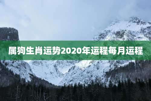 属狗生肖运势2020年运程每月运程