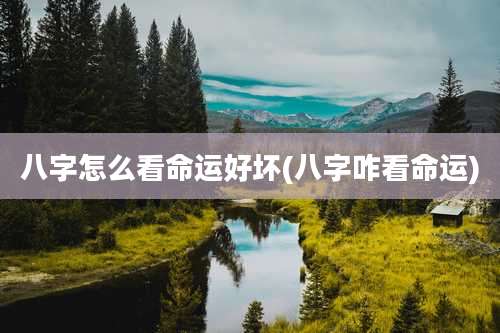 八字怎么看命运好坏(八字咋看命运)