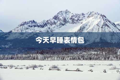 今天早睡表情包