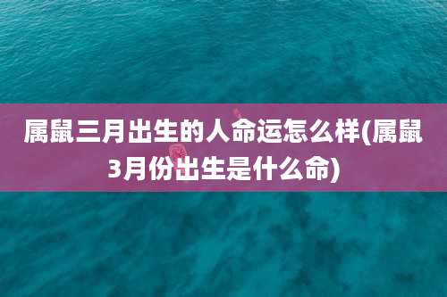 属鼠三月出生的人命运怎么样(属鼠3月份出生是什么命)