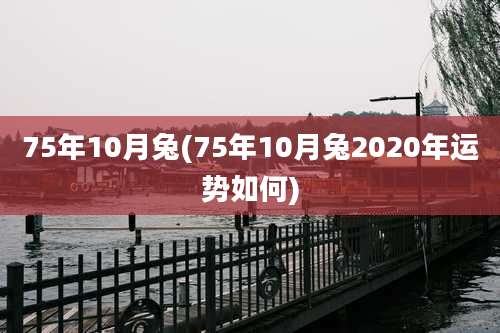 75年10月兔(75年10月兔2020年运势如何)