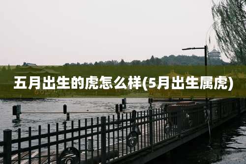 五月出生的虎怎么样(5月出生属虎)