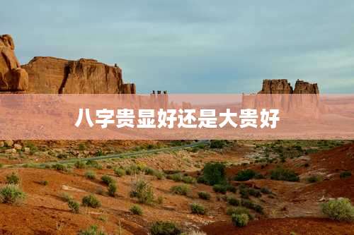 八字贵显好还是大贵好