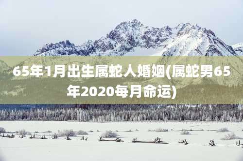 65年1月出生属蛇人婚姻(属蛇男65年2020每月命运)