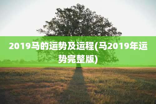 2019马的运势及运程(马2019年运势完整版)
