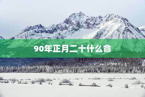 90年正月二十什么命