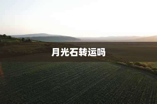 月光石转运吗