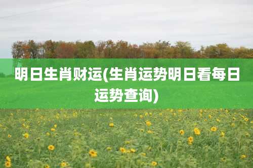 明日生肖财运(生肖运势明日看每日运势查询)