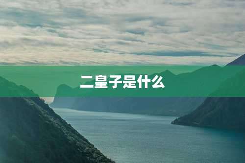 二皇子是什么