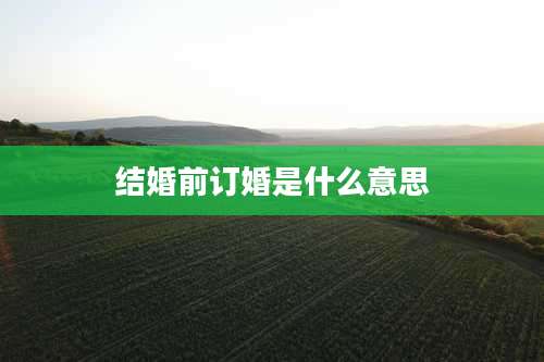 结婚前订婚是什么意思