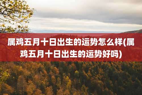 属鸡五月十日出生的运势怎么样(属鸡五月十日出生的运势好吗)