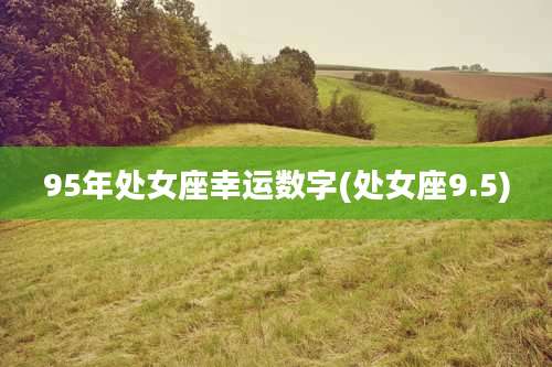 95年处女座幸运数字(处女座9.5)