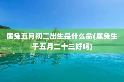 属兔五月初二出生是什么命(属兔生于五月二十三好吗)