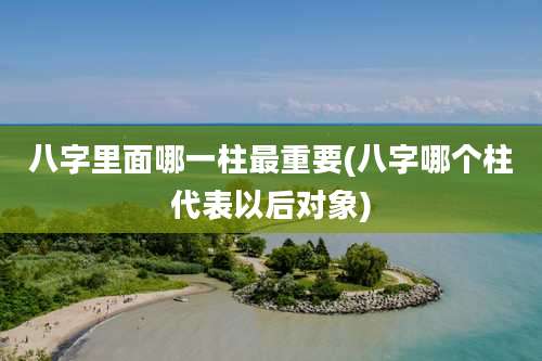 八字里面哪一柱最重要(八字哪个柱代表以后对象)