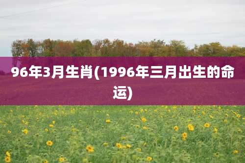 96年3月生肖(1996年三月出生的命运)
