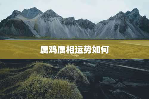 属鸡属相运势如何