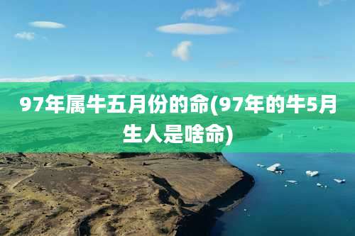 97年属牛五月份的命(97年的牛5月生人是啥命)