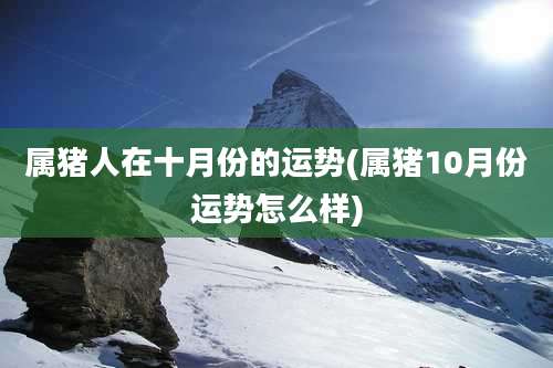 属猪人在十月份的运势(属猪10月份运势怎么样)