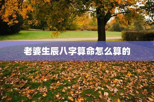 老婆生辰八字算命怎么算的