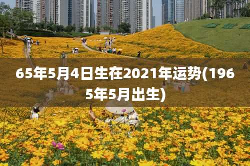 65年5月4日生在2021年运势(1965年5月出生)