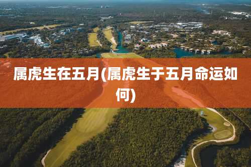 属虎生在五月(属虎生于五月命运如何)