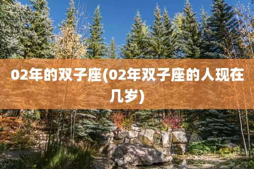 02年的双子座(02年双子座的人现在几岁)