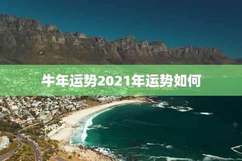 牛年运势2021年运势如何