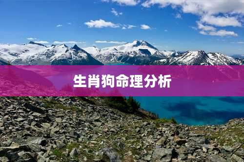 生肖狗命理分析