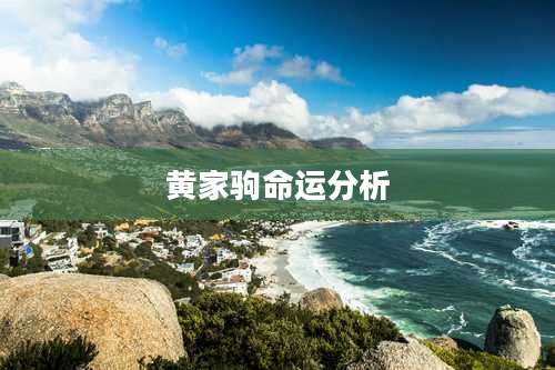 黄家驹命运分析