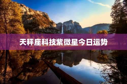 天秤座科技紫微星今日运势