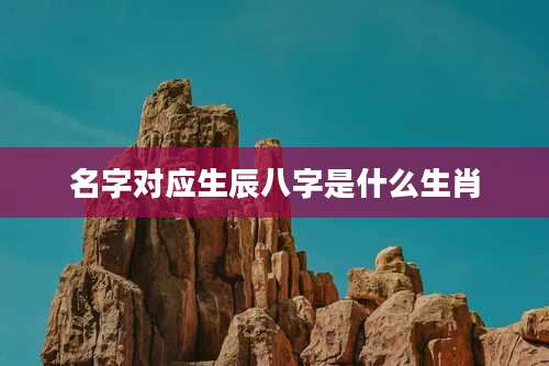 名字对应生辰八字是什么生肖