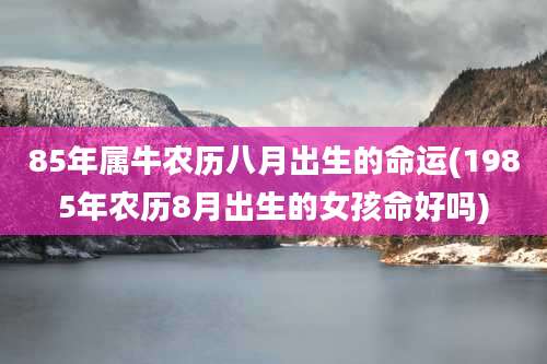 85年属牛农历八月出生的命运(1985年农历8月出生的女孩命好吗)