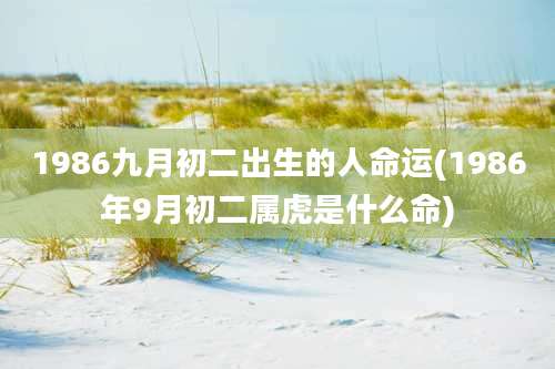 1986九月初二出生的人命运(1986年9月初二属虎是什么命)