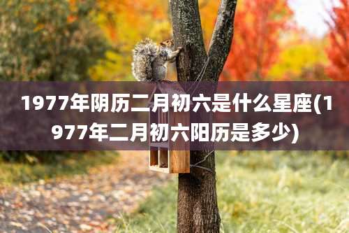 1977年阴历二月初六是什么星座(1977年二月初六阳历是多少)