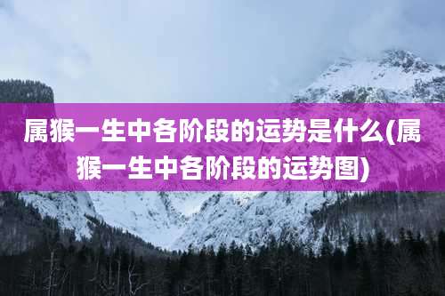 属猴一生中各阶段的运势是什么(属猴一生中各阶段的运势图)