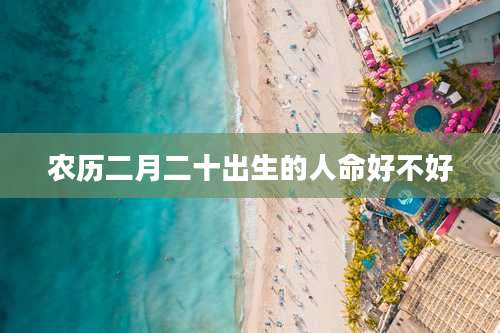 农历二月二十出生的人命好不好