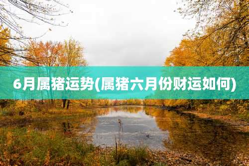 6月属猪运势(属猪六月份财运如何)
